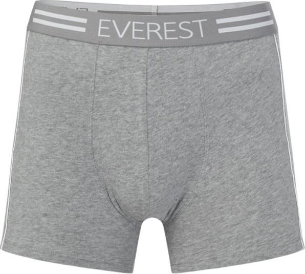 Quần lót nam cao cấp boxer công nghệ Nhật Bản EVEREST QH68304 (Nâu rám nắng