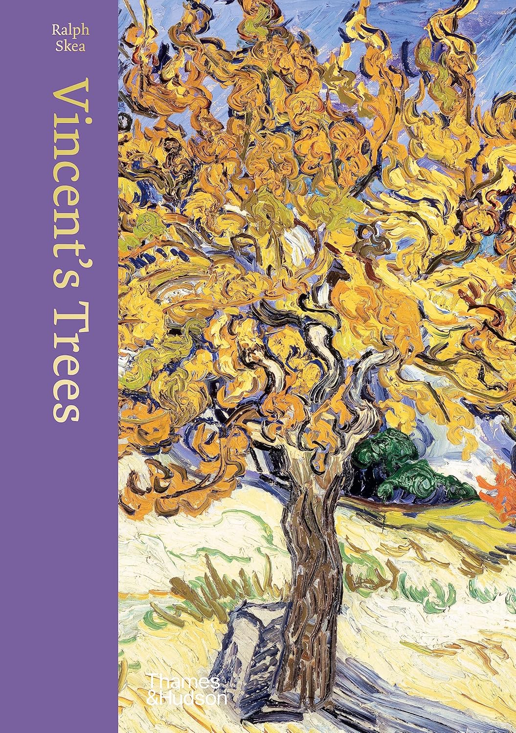 Vincent'S Trees Paintings And Drawings By Van Gogh