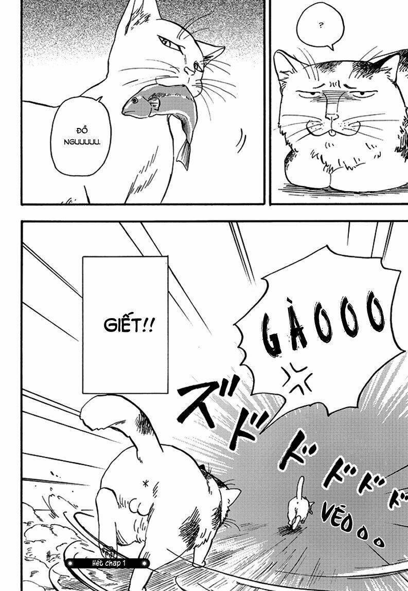 tui là busamen! chapter 1 20