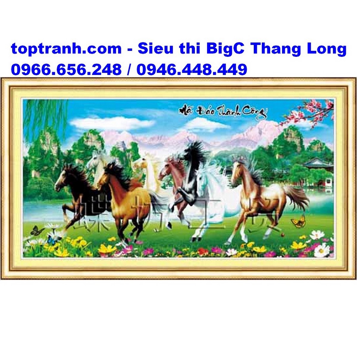 Tranh thêu chữ thập mã đáo thành công, ngựa thảo nguyên 222430 chưa thêu