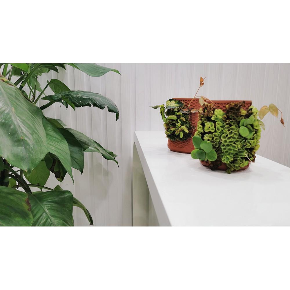 Tháp cây đứng - Chậu Gốm Trồng Cây Nhỏ Sáng Tạo Trang Trí Nhà Cửa
