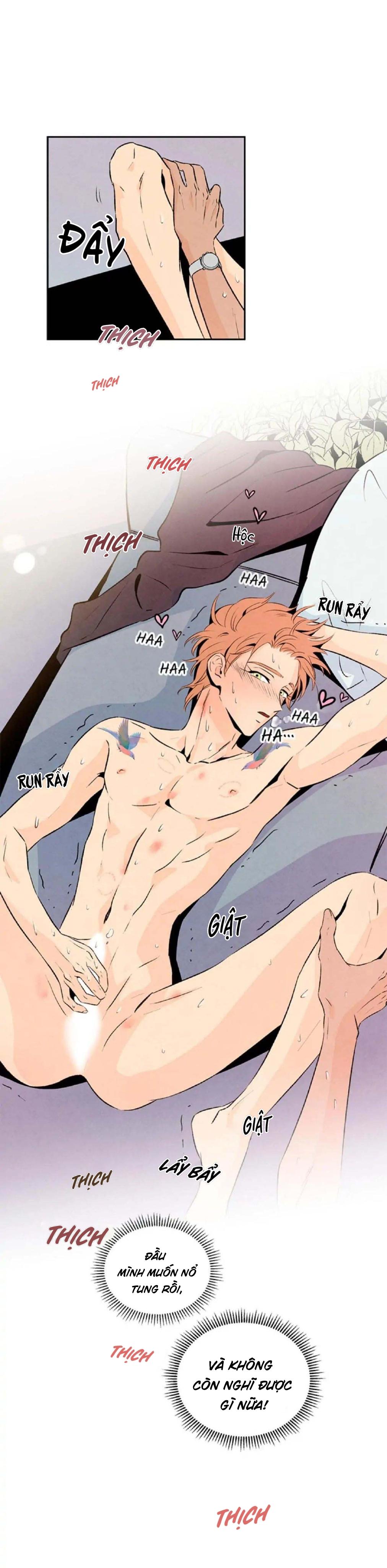 bona sort chapter 19 29