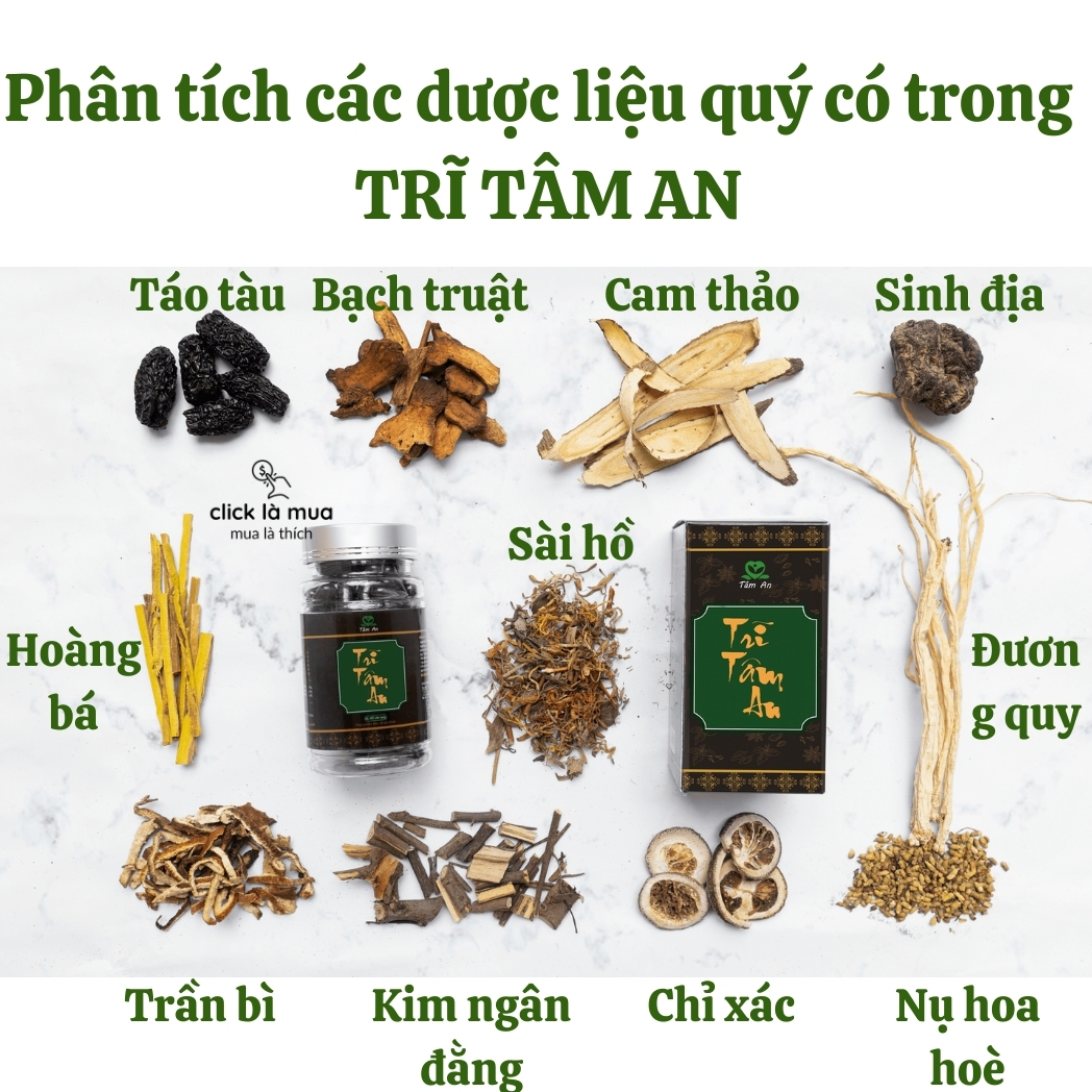 Giảm táo bón, nhuận tràng, co búi Trĩ tâm an giảm phù nề, các triệu chứng của trĩ, tăng cường sức bền mạch máu 60 viên