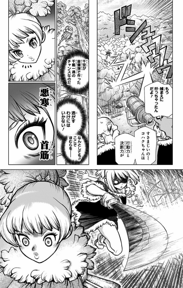 Dr. STONE 8 (ジャンプコミックス)