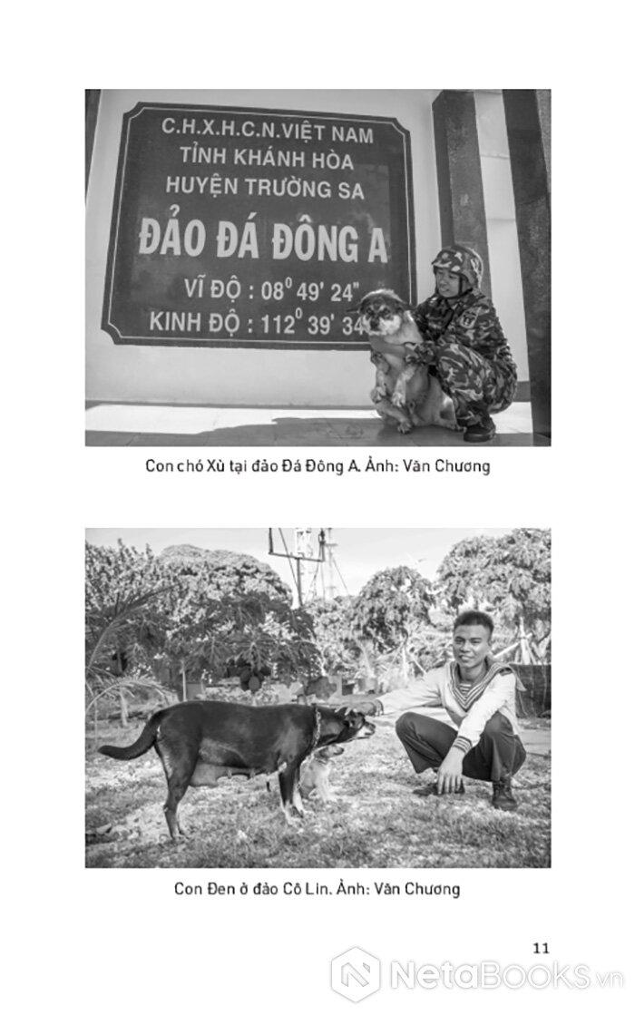 Sách - Kể Chuyện Biển Đảo - Một Chuyến Du Hành Ra Trường Sa Và Nhà Giàn DK1