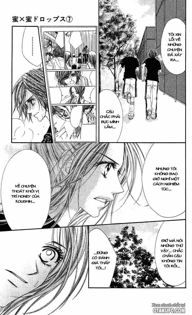 honey x honey drop chapter 41 24