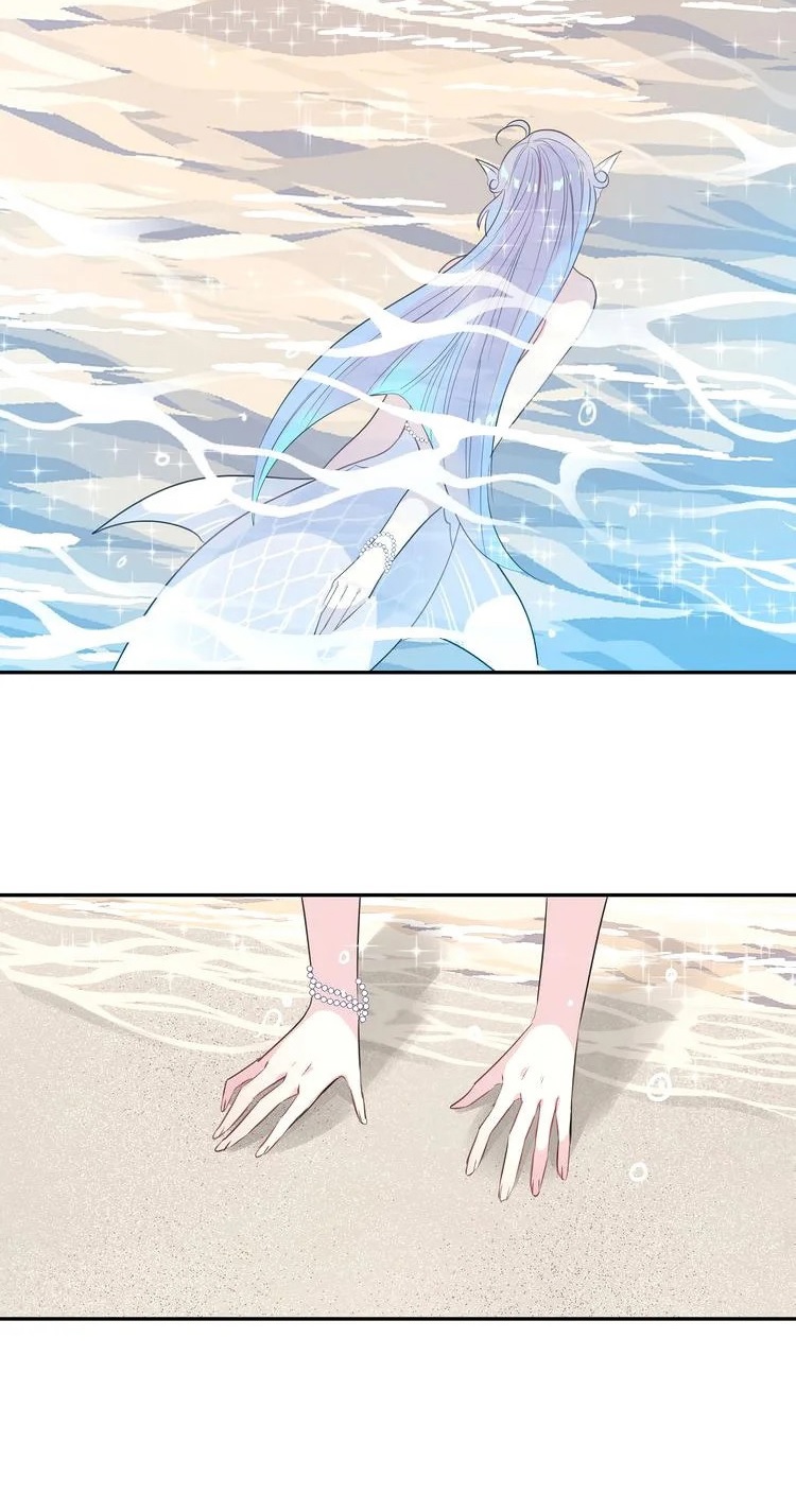 bộ váy của nàng tiên cá chapter 17 4