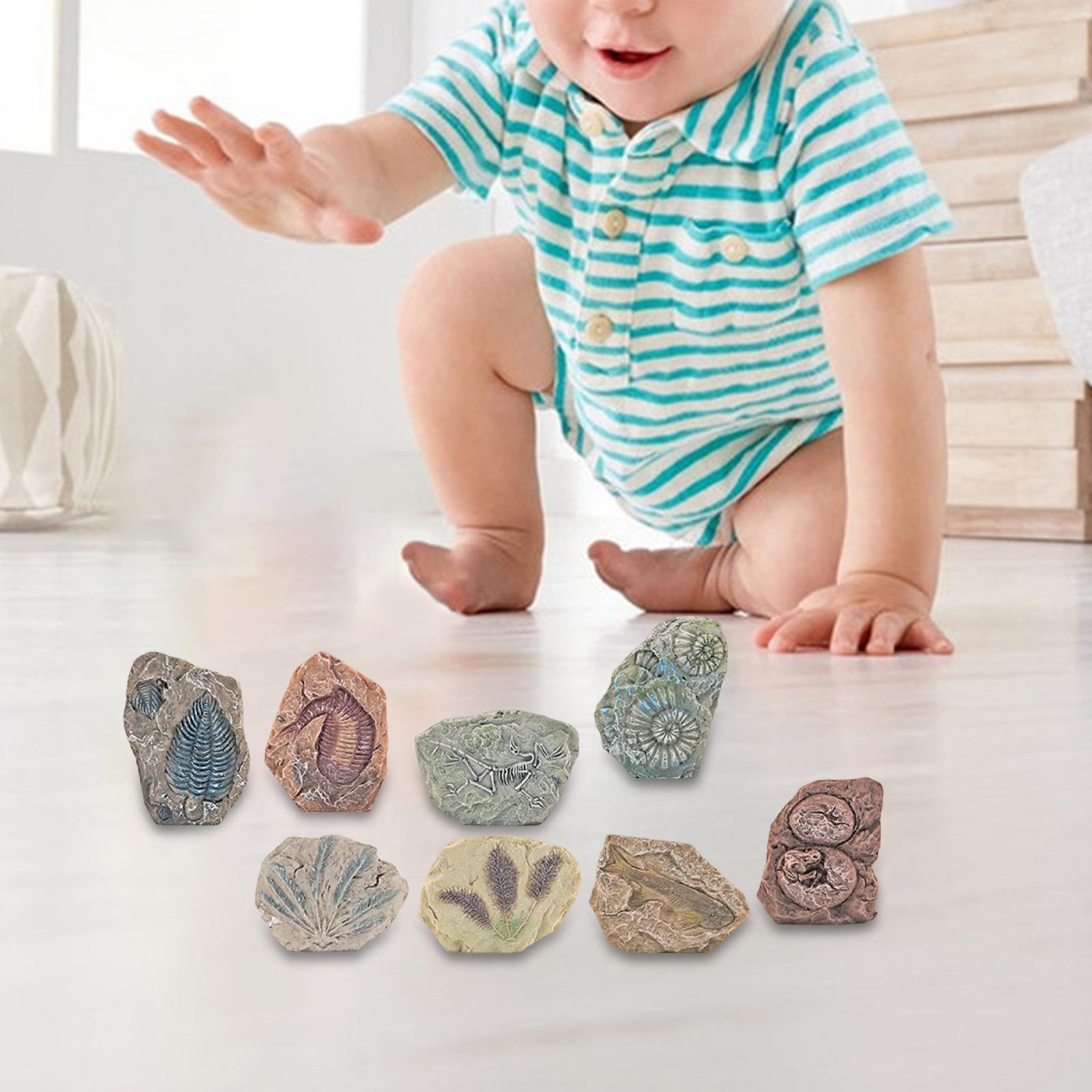 Dinosaur Excavation Kit Archaeology Discovery Kit for Toddler
