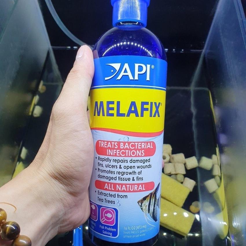 Melafix API - Thảo Dược Chăm Sóc Cá Nước Ngọt và Nước Mặn Cá Rồng, La Hán, Cá Vàng