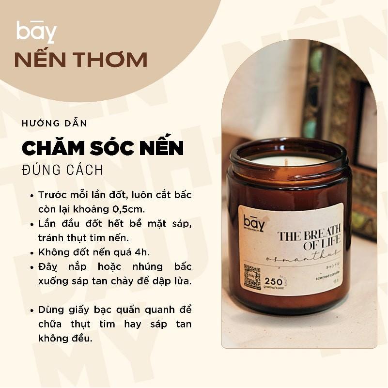 Nến thơm phòng The Breath Of Life ️️ tinh dầu nhập khẩu Mỹ, sáp cọ mềm tự nhiên, an toàn tuyệt đối