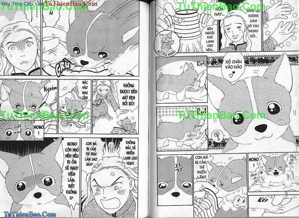 chó con mo mo chapter 1 37