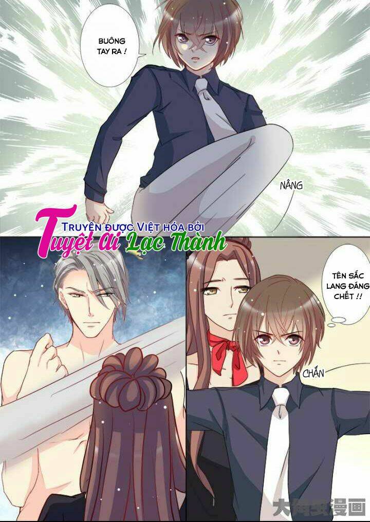 the stars are not luminous body chapter 104 1