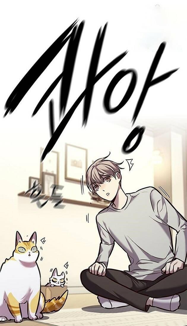 biến thân thành mèo chapter 220 1