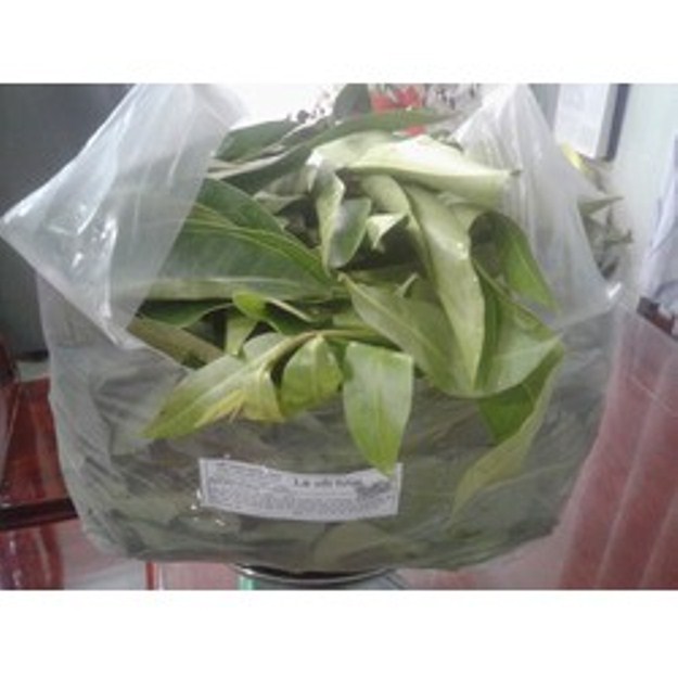 Cây, Lá vối tươi