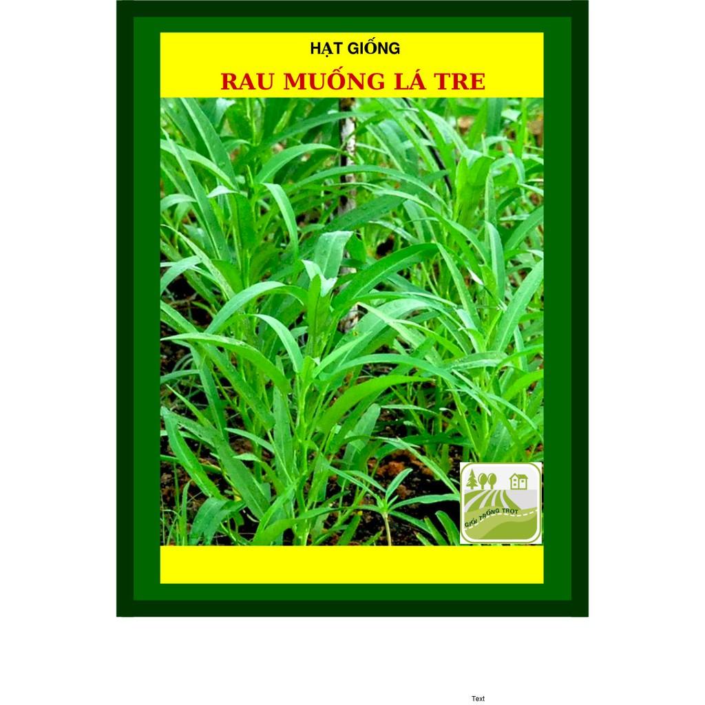 100G -  Hạt Giống Rau Muống Lá Tre Việt Nam
