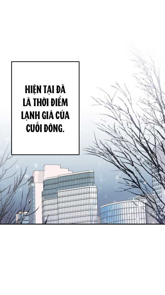 gửi em người đánh cắp những vì sao - to you who swallowed a star chapter 143.1 39