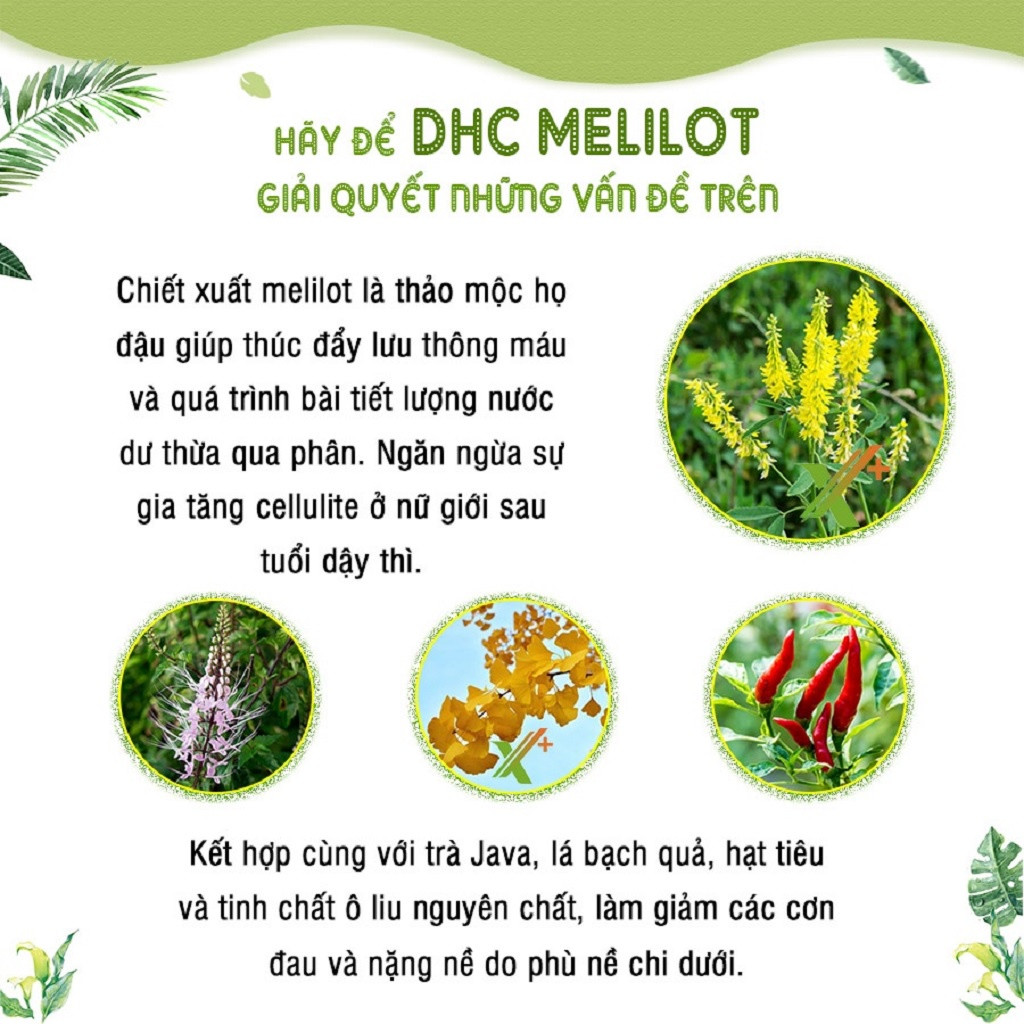 Viên Uống DHC Melilot Hỗ Trợ Thon Chân, Hỗ Trợ Giảm Mỡ Đùi 30 Ngày