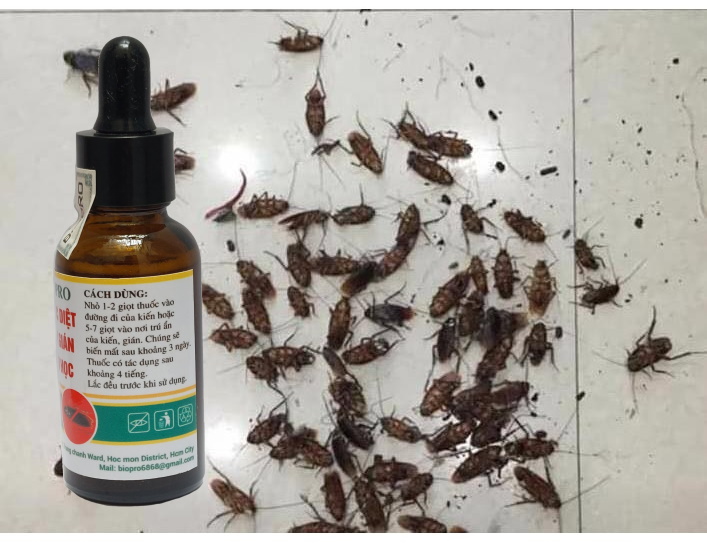 Thuốc diệt kiến gián sinh học Biopro Dạng đầu bóp tiện lợi Diệt tận gốc kiến đen, kiến lửa, kiến hôi, kiến gió, gián