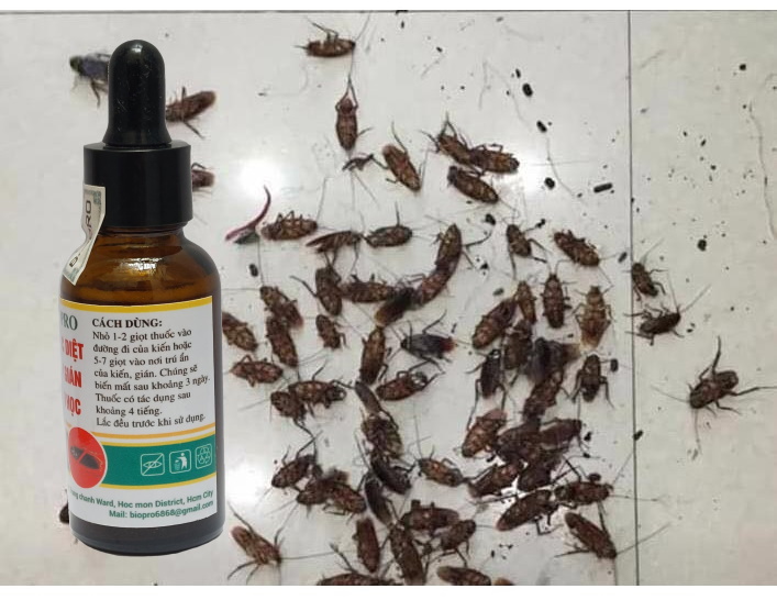 Chai diệt kiến dán sinh học Biopro Dạng bóp nhỏ giọt tiện lợi Diệt sạch kiến gián tận gốc, An toàn