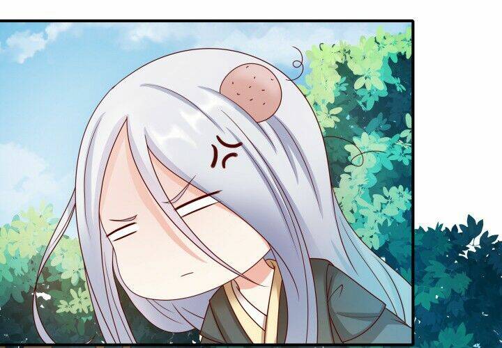 đô đốc đại nhân sủng thê kí chapter 2.2 65