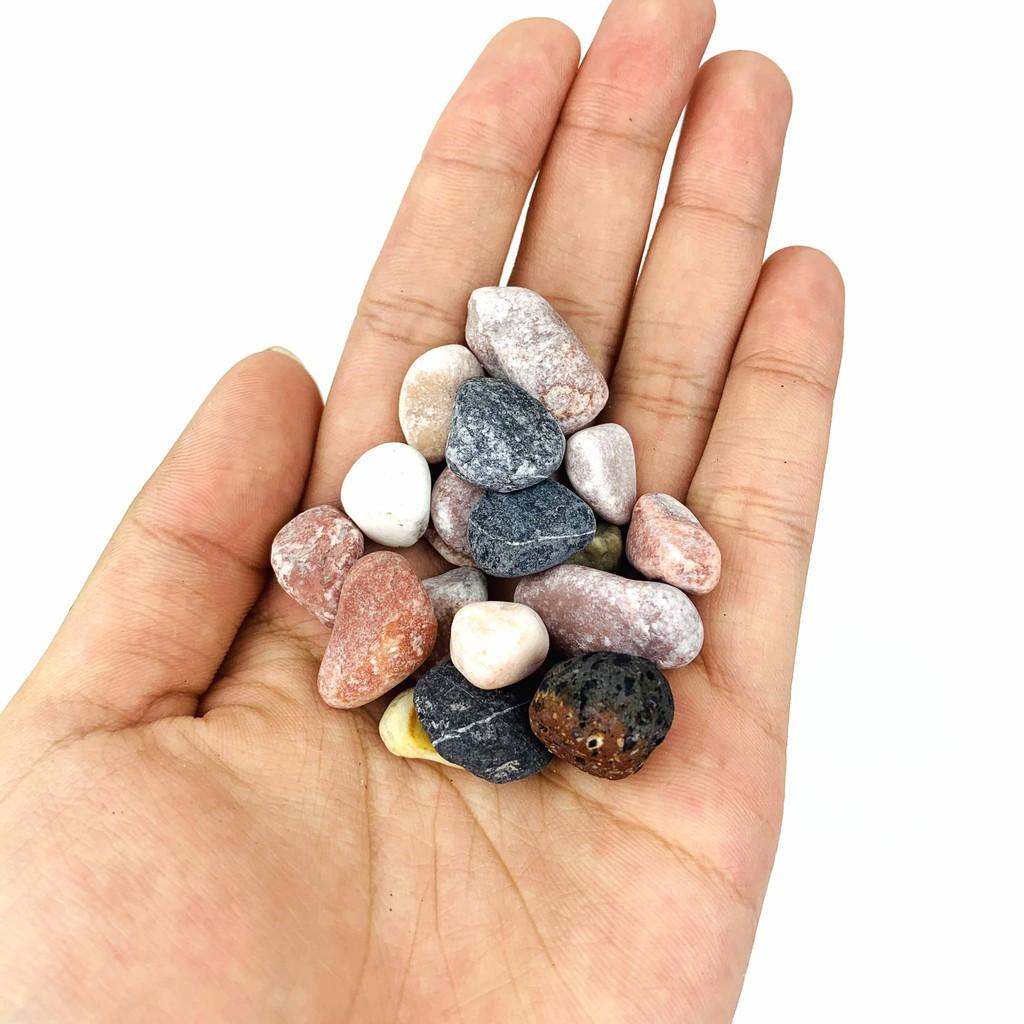 1KG Sỏi 4 Màu Trang Trí Hồ Cá, Nhà Cửa, Chậu Cây, Hoa
