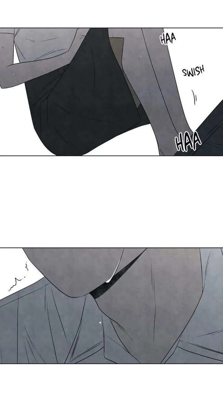 summer solstice point chapter 29 44