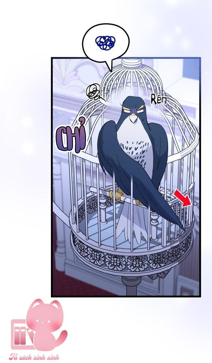 quan hệ cộng sinh giữa báo đen và thỏ trắng chapter 87 10