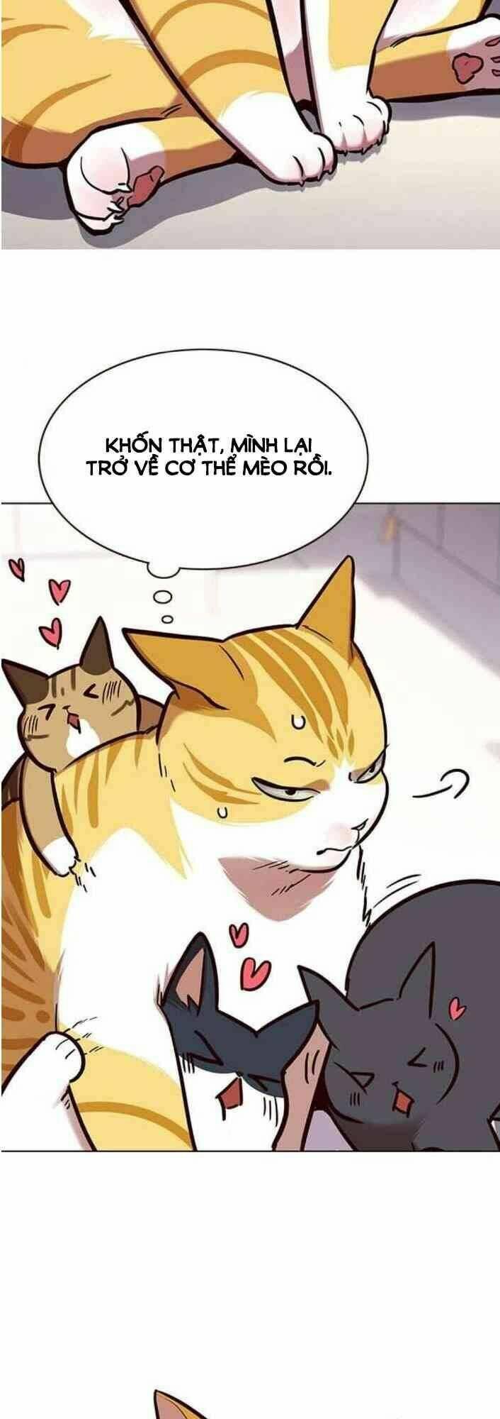 biến thân thành mèo chapter 138 73