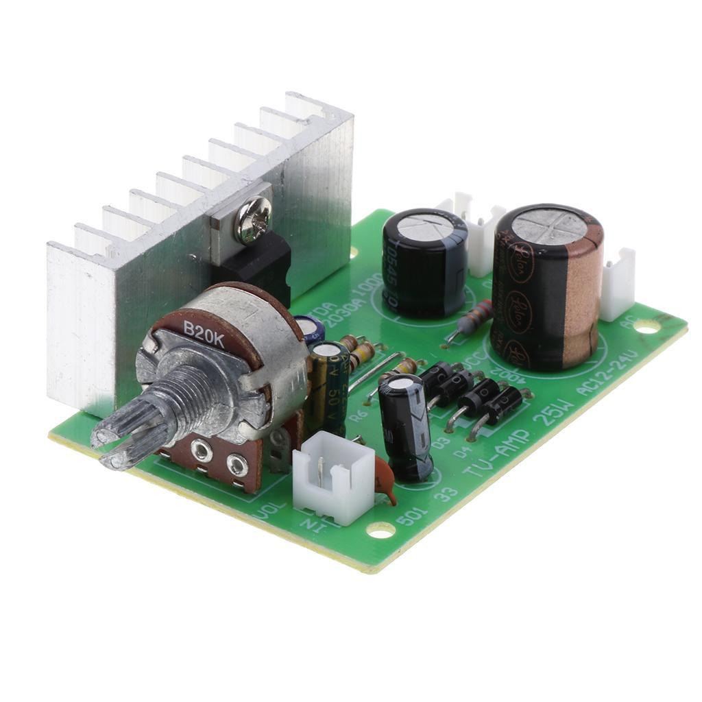 2x DIY Module Audio Mono Amplifier Board