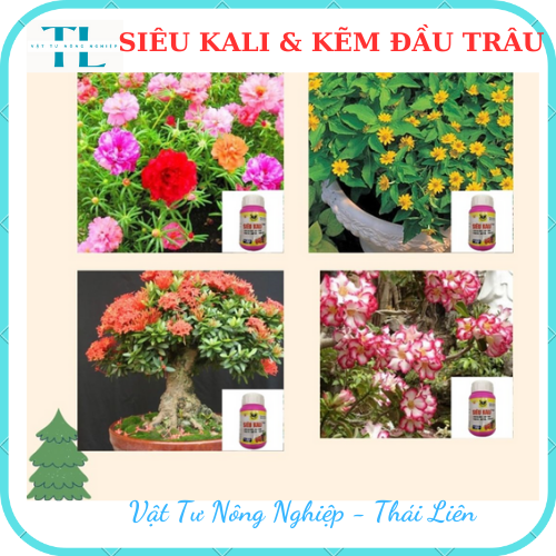 Phân Bón Đầu Trâu Siêu Kali Kẽm Cho Cây Cảnh, Cây Hoa, Cây Ăn Trái 100 gram, Giúp Ra Nhiều Hoa, Đậu Trái, Trái Ngọt