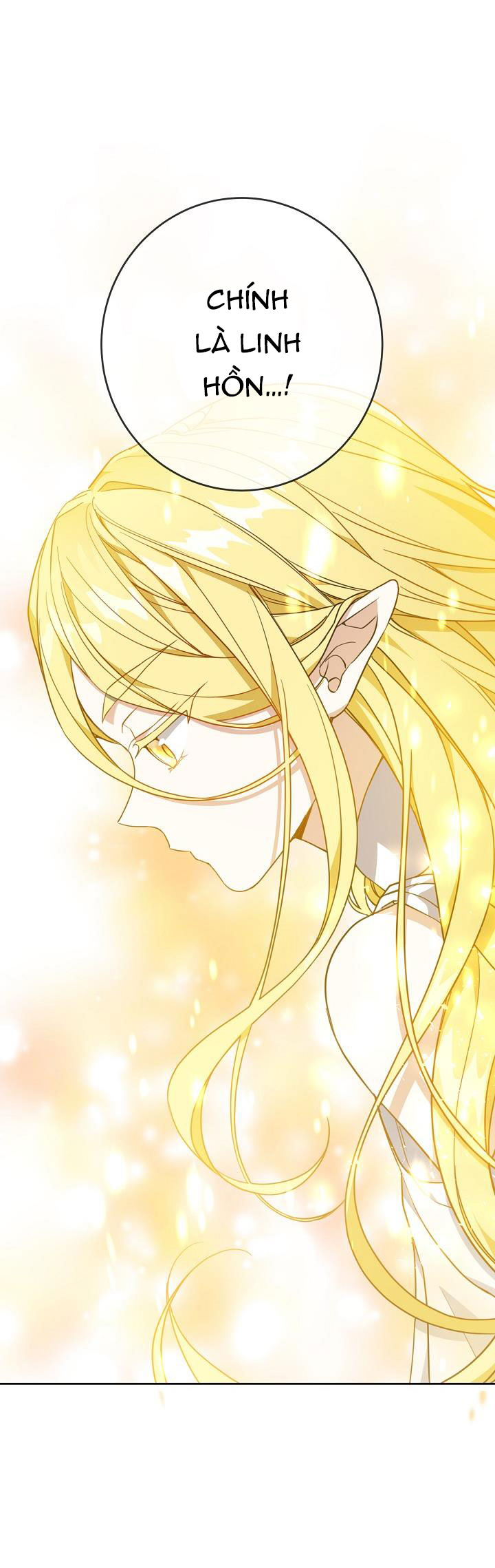 hướng đến ánh dương một lần nữa chapter 35.1 31