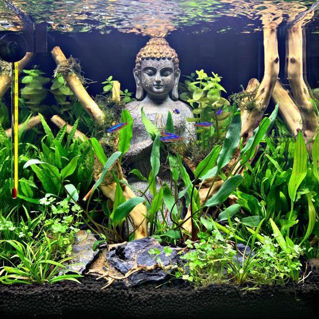 Tượng Phật Trang Trí " Lost World " - Hồ Thủy Sinh - Bể Bán Cạn- Non Bộ, Trang Trí Nhà Cửa