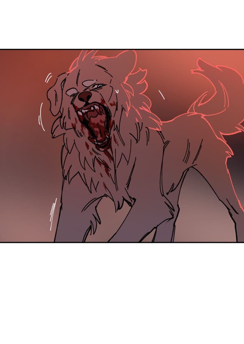 lumine - cội nguồn ánh sáng chapter 110 20