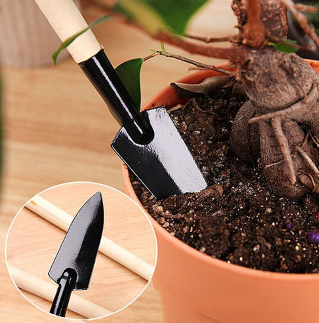 Bộ Dụng Cụ Làm Vườn Mini 3 Món