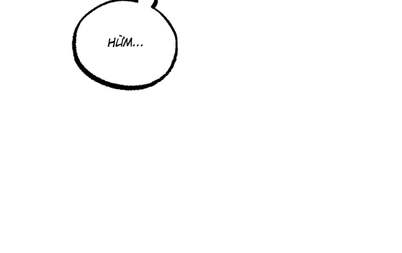 những chú thỏ của hapypy chapter 61 172