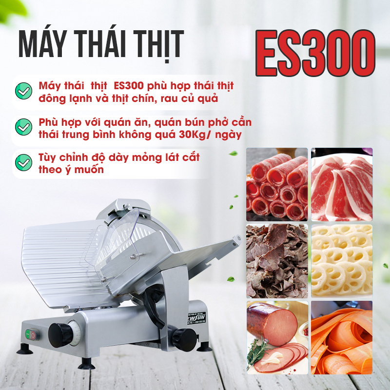 Máy Thái Thịt Đông Lạnh NEWSUN ES-300 - Hàng Chính Hãng