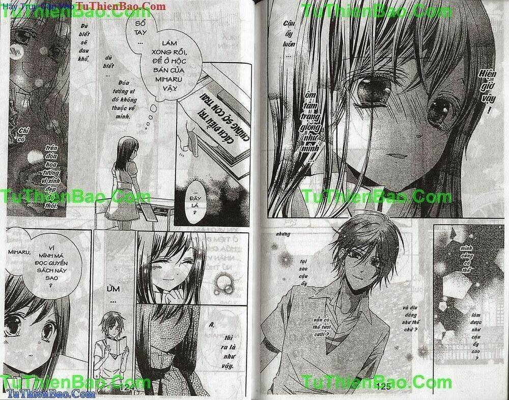 tường vi thơ mộng chapter 3 63