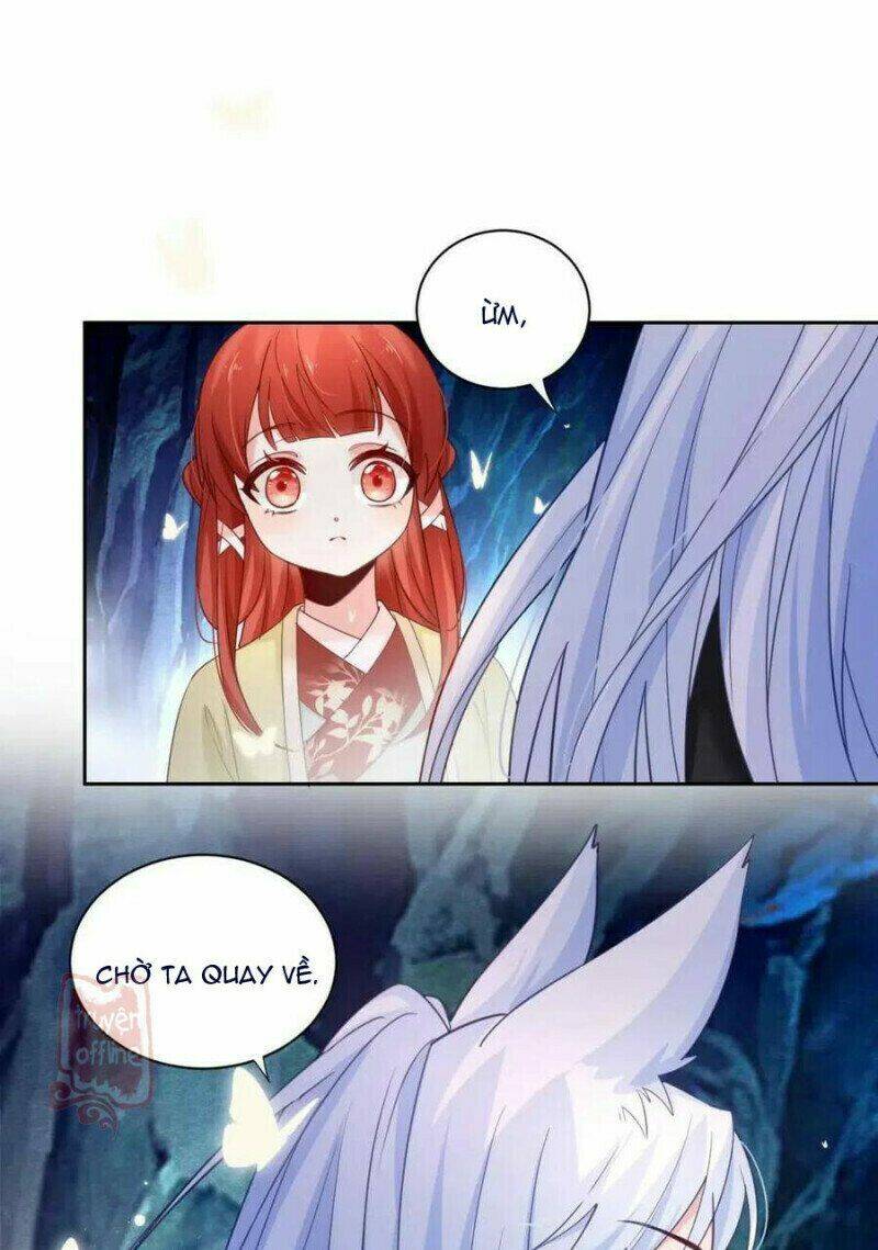 hắc hóa nam chính trực tuyến nuôi thỏ chapter 52 25