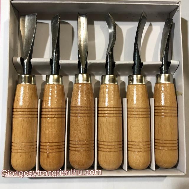 BỘ ĐỤC CÂY CẢNH,GỖ MỸ NGHỆ 6 MÓN
