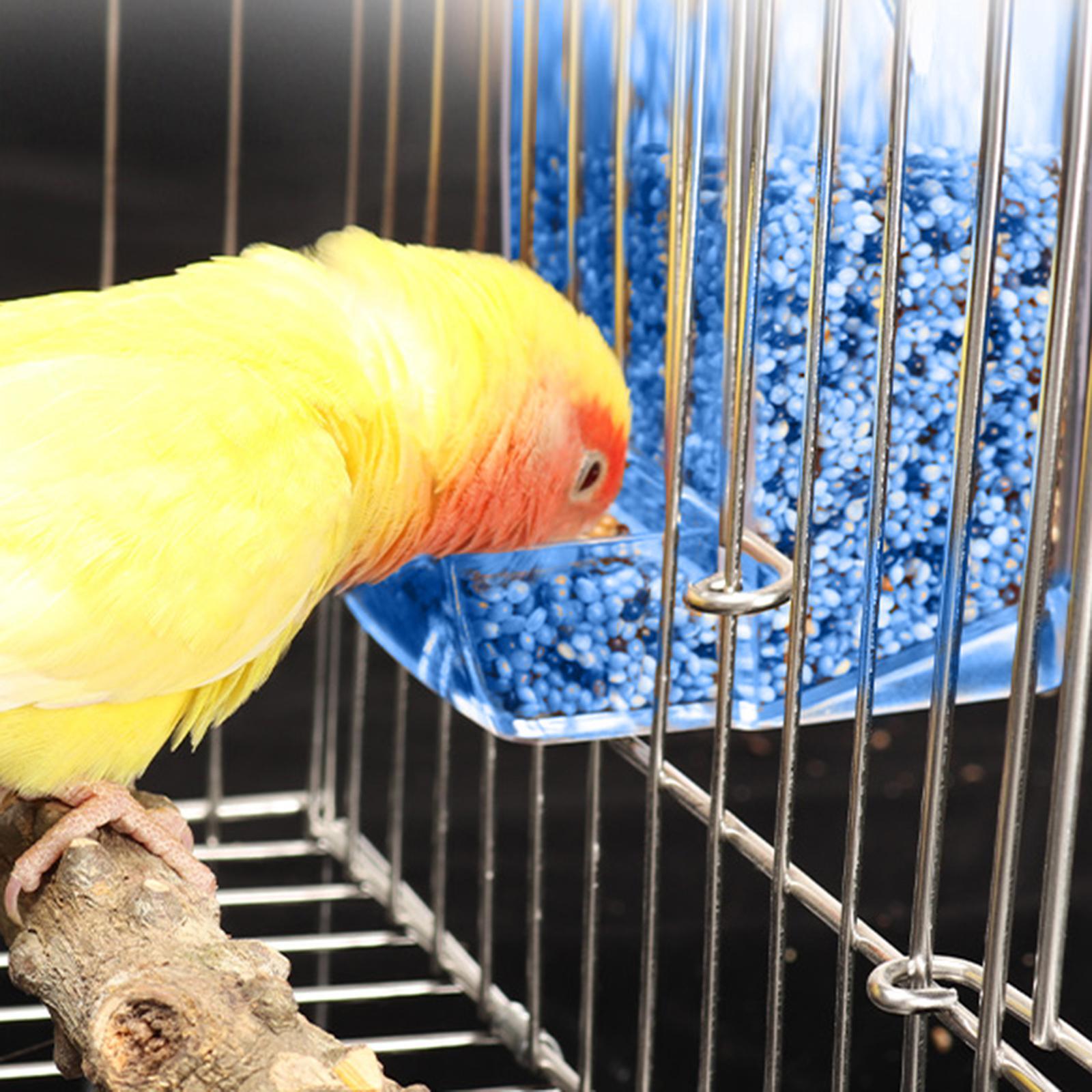Bird Feeder - Parrot Food Container Automatic Feeder for Small to Medium Birds