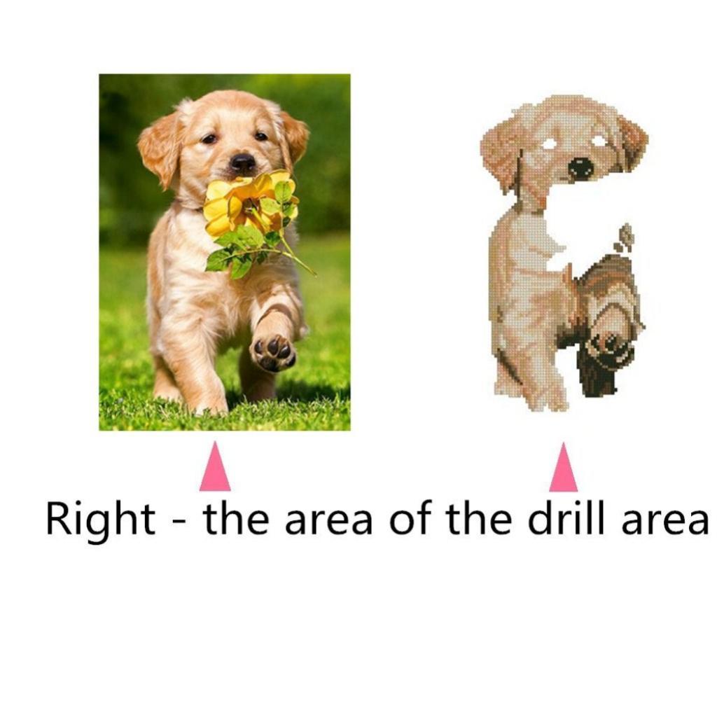 DIY 5D Diamond Painting Embroidery Flower Dog Cross Crafts Stitch Kit Decor