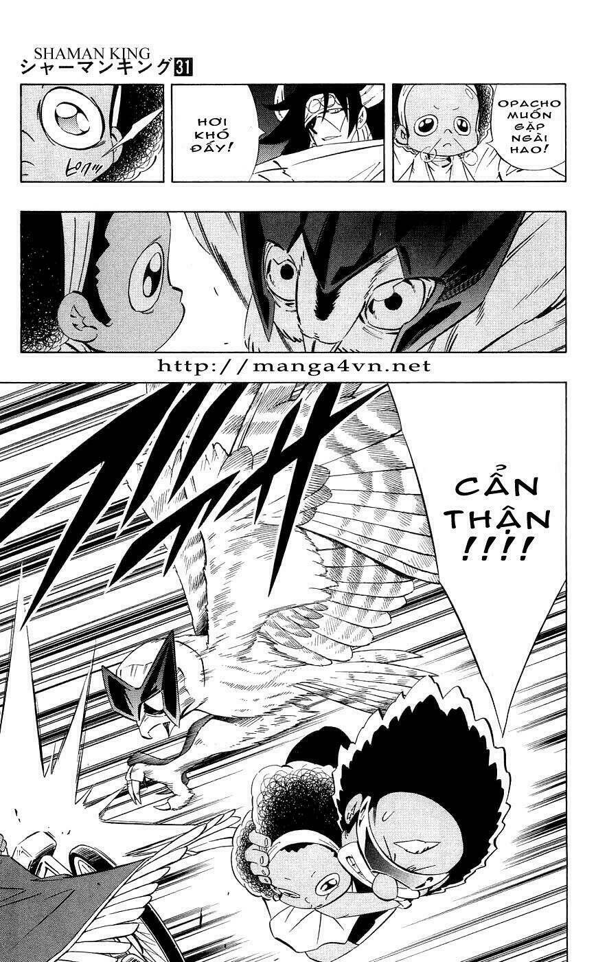 vua pháp thuật chapter 274 8