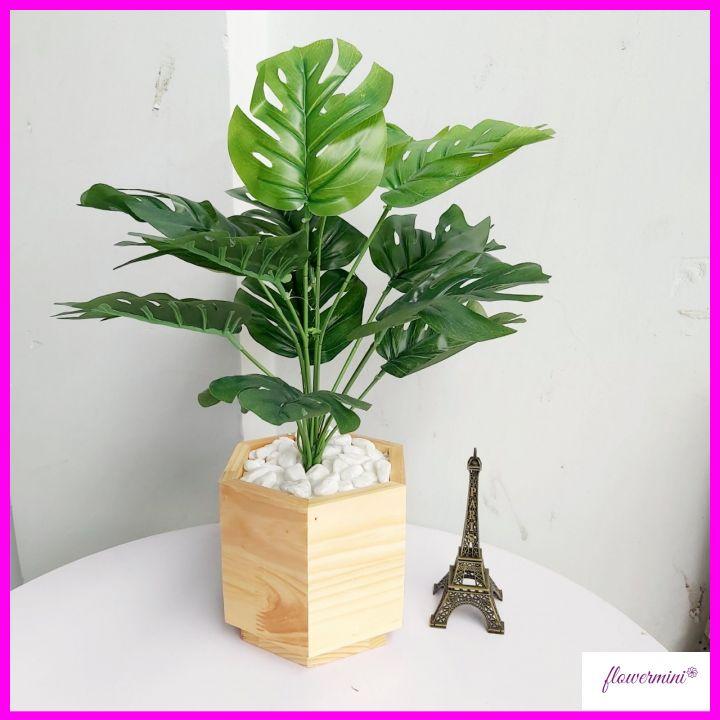 Chậu cây lá rùa giả 45cm để bàn trang trí xanh mát kèm chậu gỗ lục giác độc đáo Flowermini CGR-01