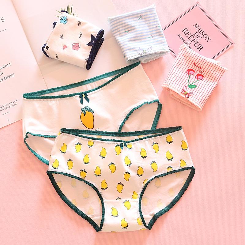 Quần Lót Nữ Cotton Kháng Khuẩn Thời Trang Nhật Bản Ngang Eo . Hàng Loại Đẹp.