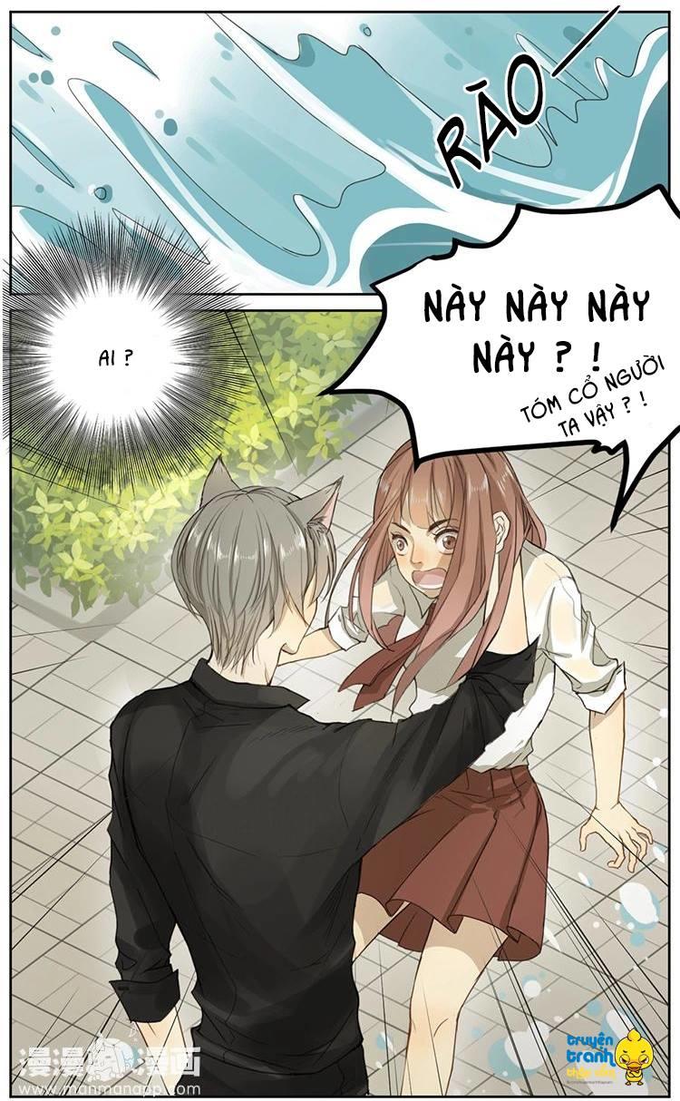 cứu mạng ! loài mèo thống trị thế giới rồi ! chapter 2 11