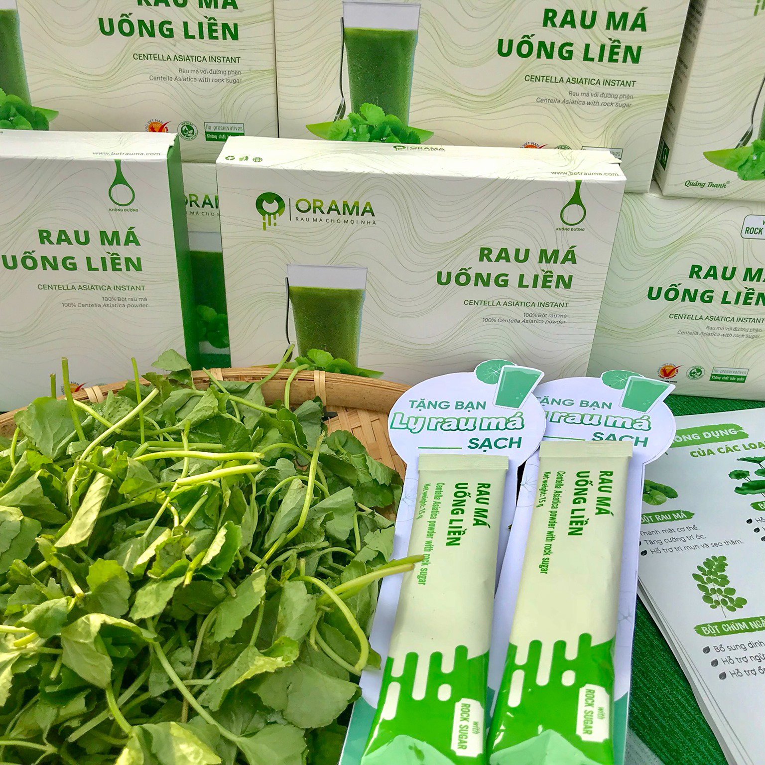 Hộp 2 gói x 15g Bột Rau Má Uống Liền Quảng Thanh có đường - rau má tươi nguyên chất, tăng cường dinh dưỡng, thanh mát thải độc