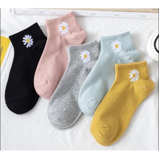 Combo 1 túi 10 đôi tất hình hoa cúc cho bạn gái