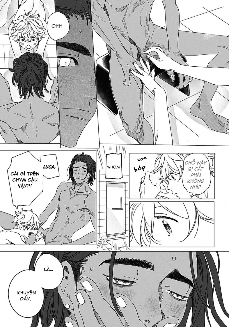 đất nước của những chú sư tử chapter 2 15