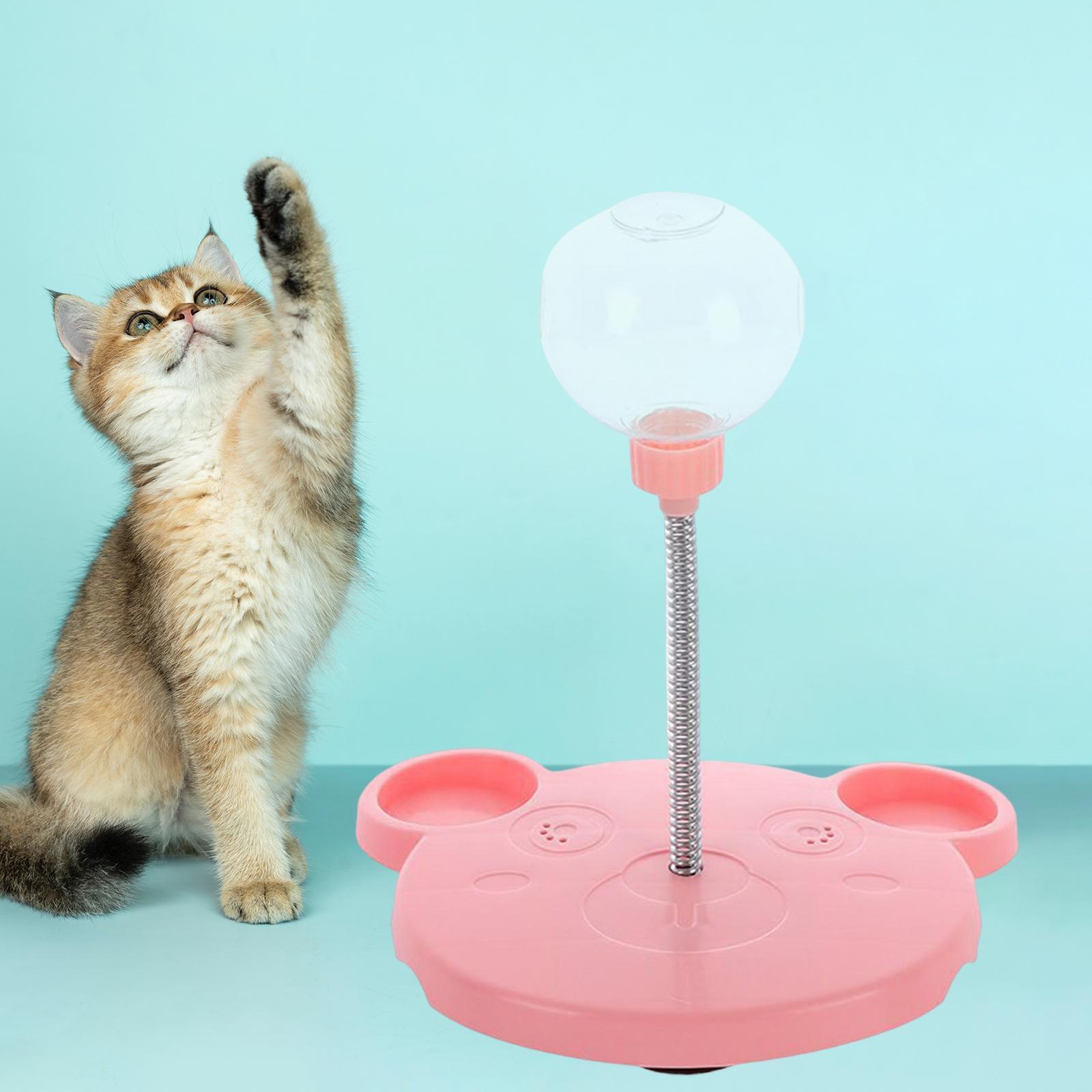 Cat Slow Feeder Toy for Pet Training Exercise