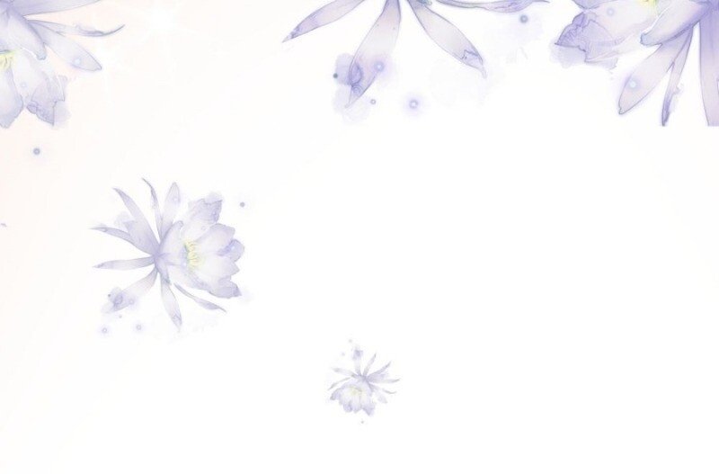 vương gia, áo lót của ngươi rơi mất rồi chapter 43 52